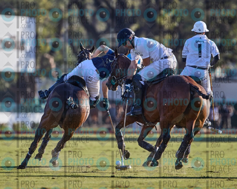 1003-R6-IMG_2319