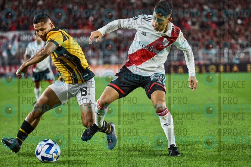 0150-R6-IMG_0599