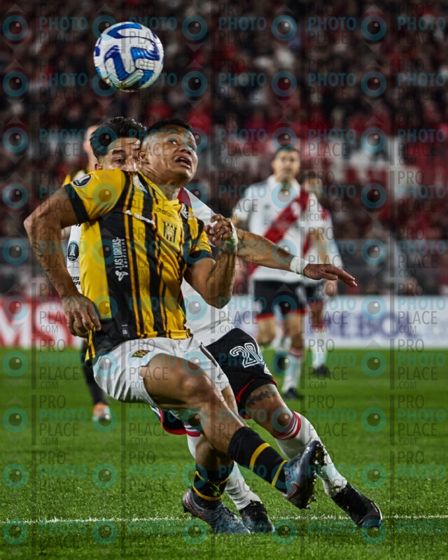0347-R6-IMG_1014