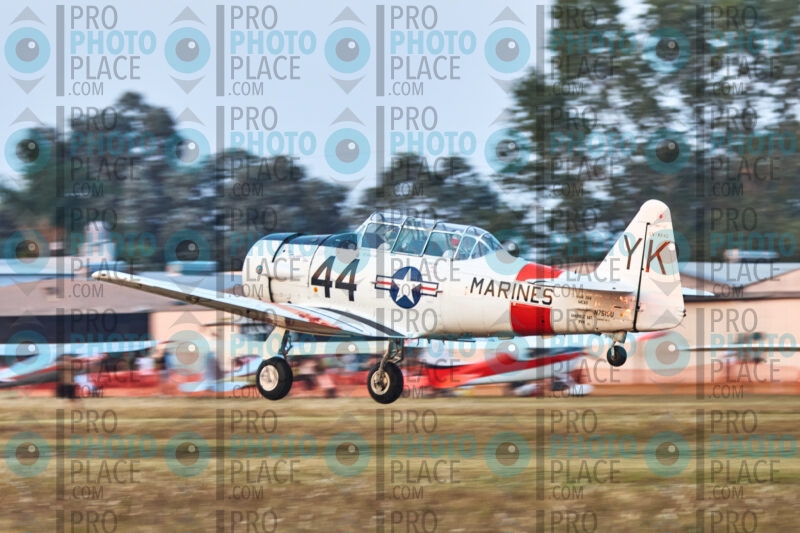 2831-R7-IMG_07873