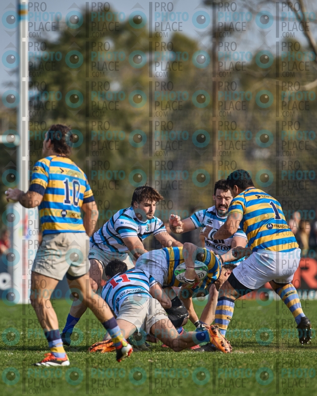 0016-R6-IMG_7380