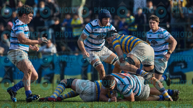 0023-R6-IMG_7431