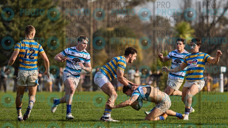 0036-R6-IMG_7540