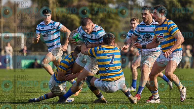0039-R6-IMG_7549