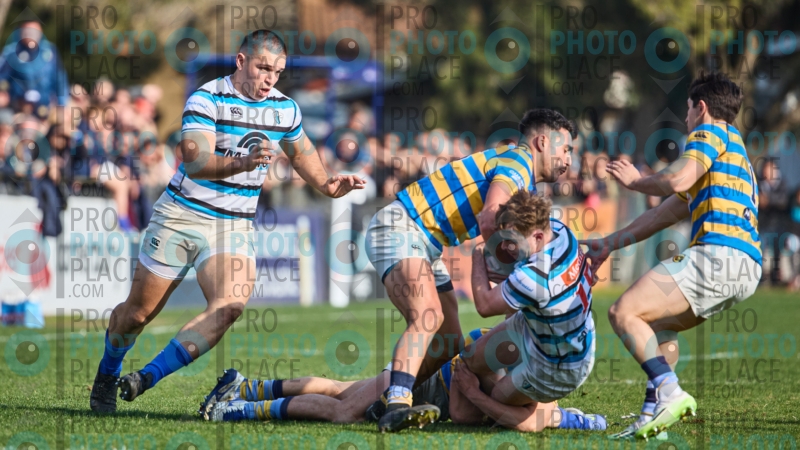 0049-R6-IMG_7584