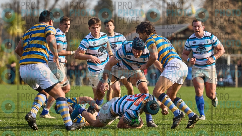 0053-R6-IMG_7601