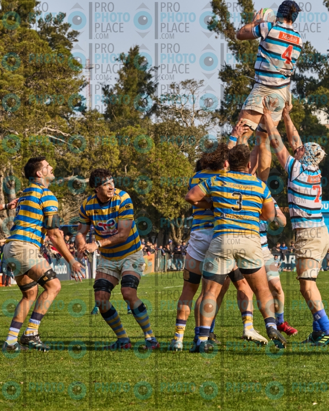 0080-R7-IMG_6722