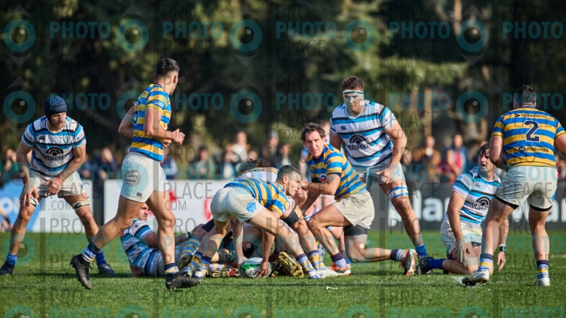 0092-R6-IMG_7723