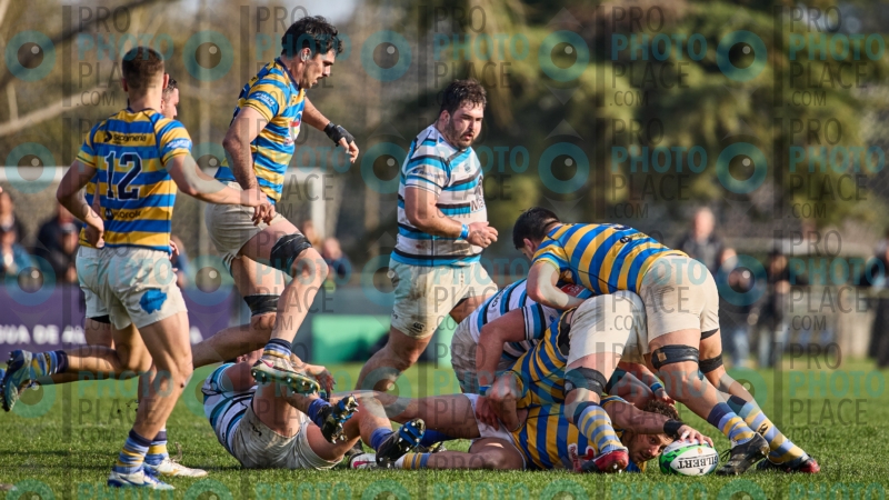 0094-R6-IMG_7729