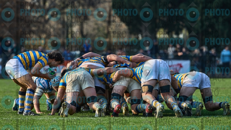 0206-R6-IMG_8111
