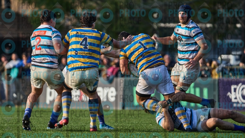 0233-R6-IMG_8438