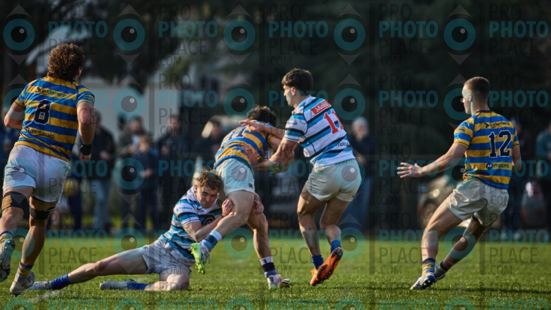 0238-R6-IMG_8504
