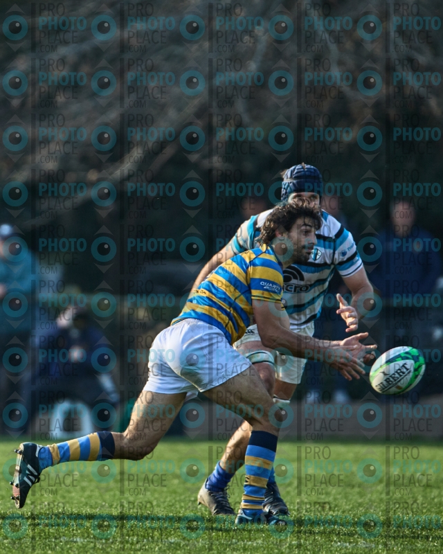 0241-R6-IMG_8527