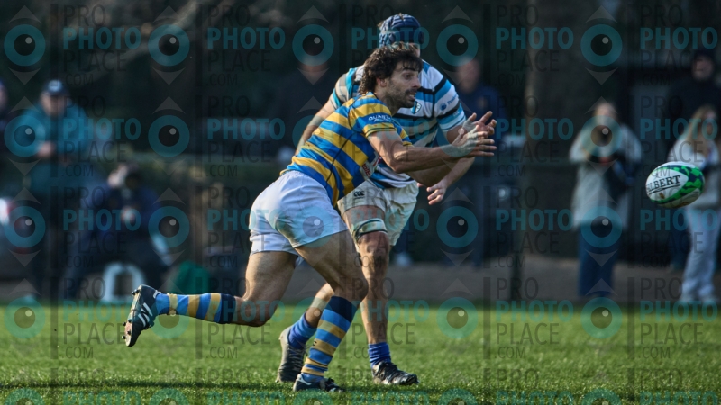 0242-R6-IMG_8530