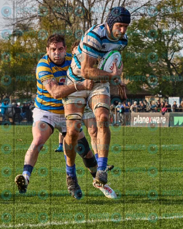 0252-R7-IMG_6910