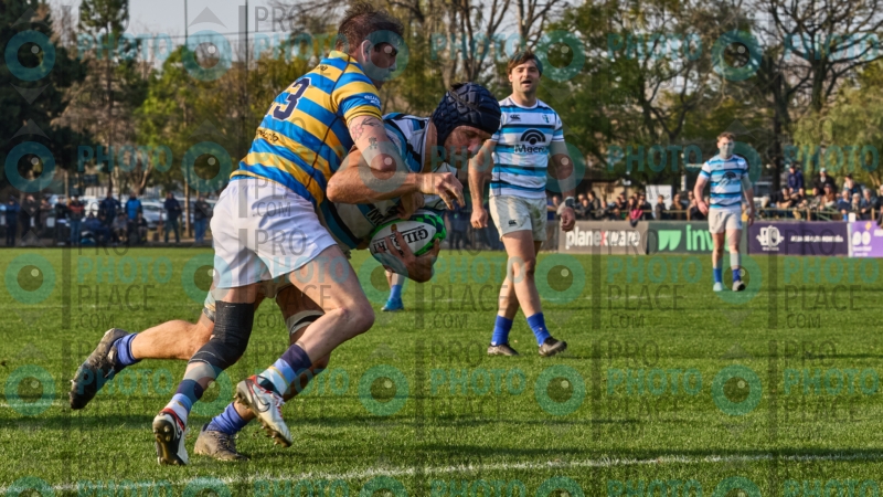 0255-R7-IMG_6919