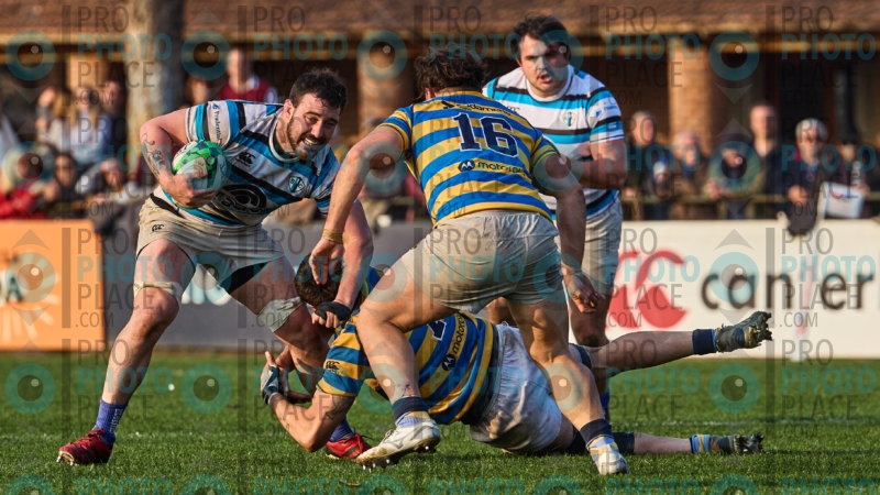 0441-R6-IMG_9429