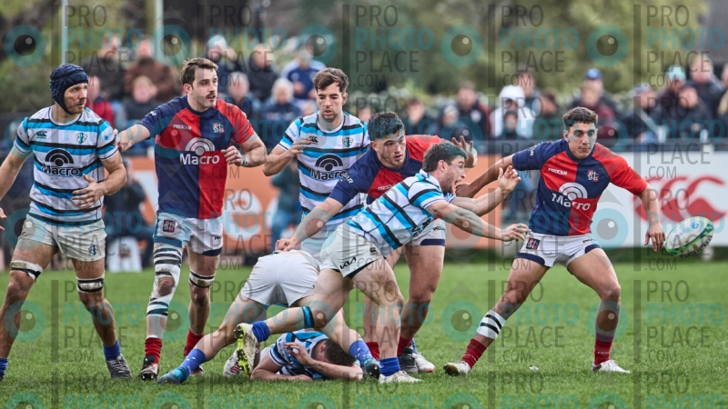 230-R6-IMG_10296