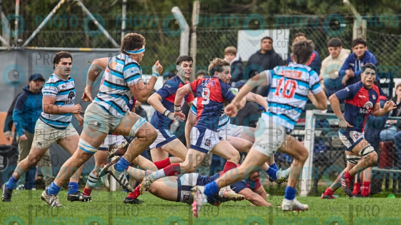 252-R6-IMG_10387