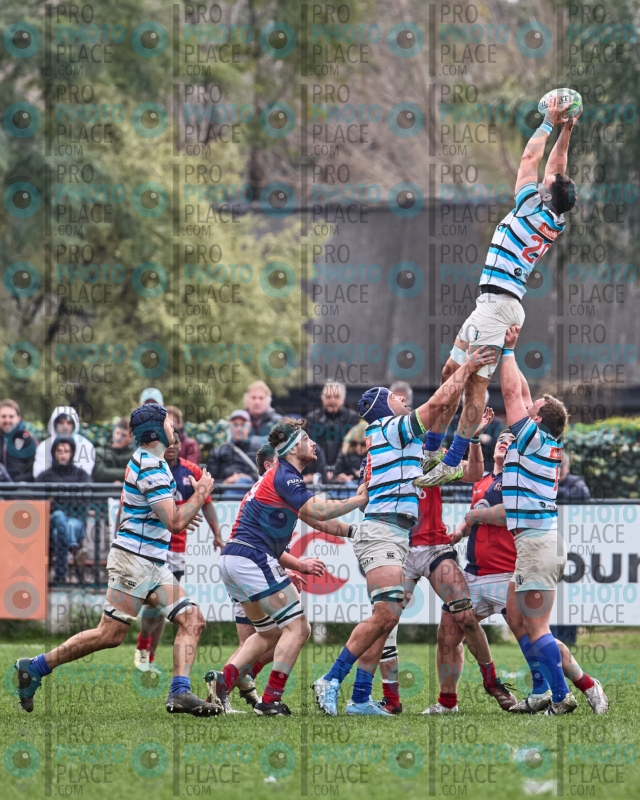 296-R6-IMG_10503