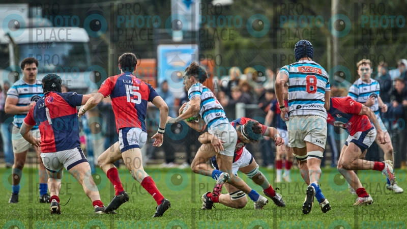 349-R6-IMG_10743