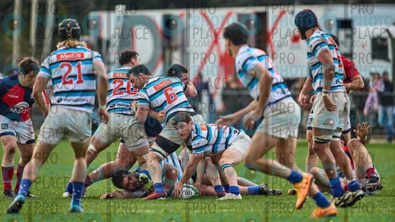 359-R6-IMG_10790