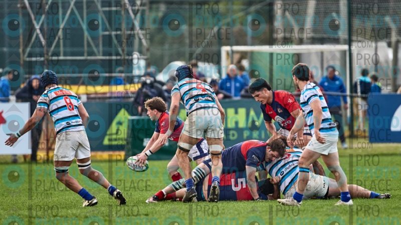 377-R6-IMG_10900
