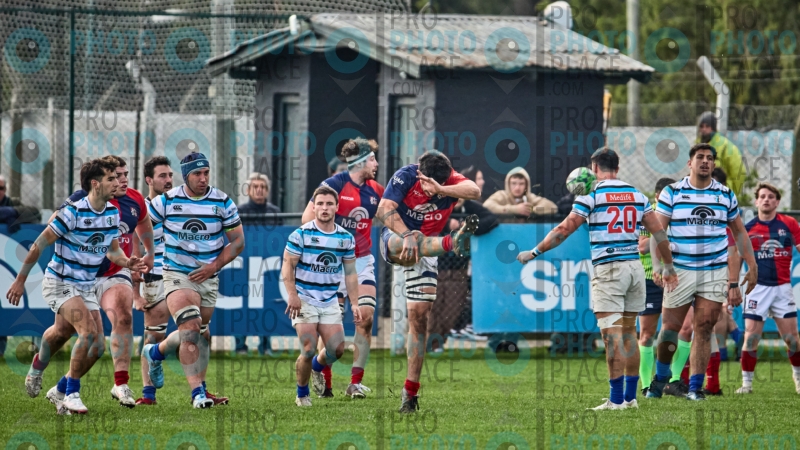 392-R6-IMG_10946