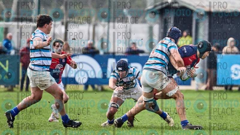 394-R6-IMG_10957
