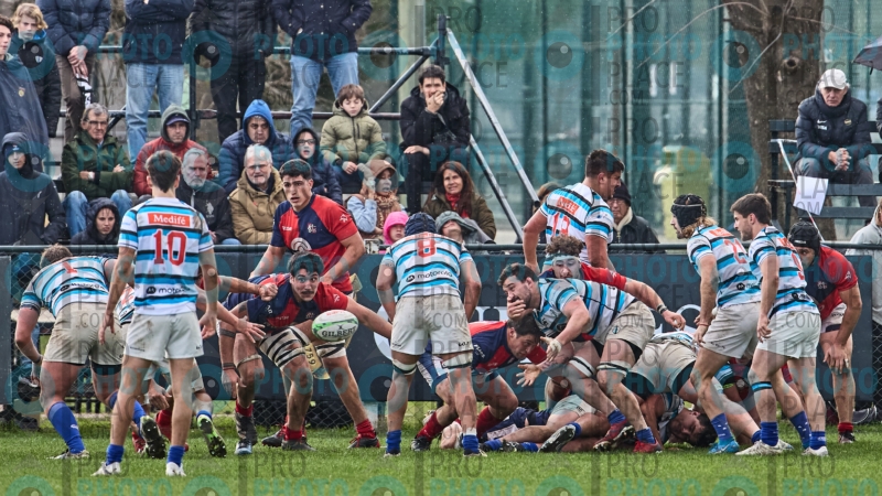 469-R6-IMG_11279