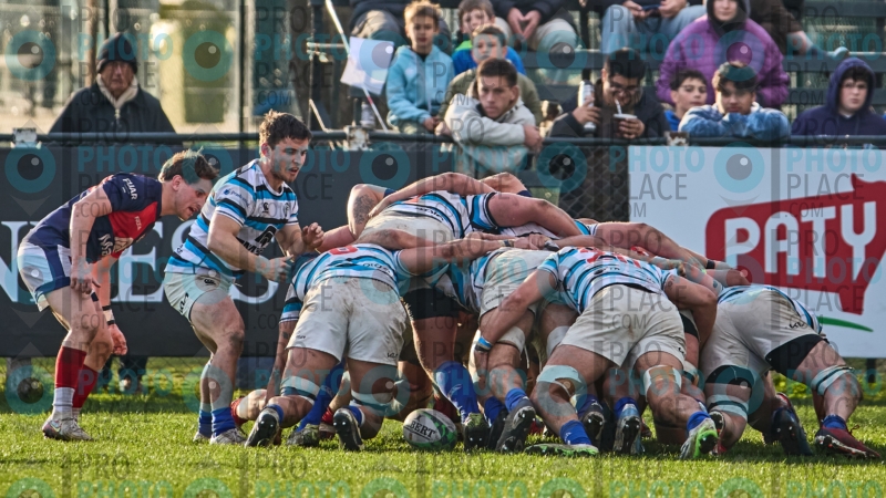 487-R6-IMG_11318