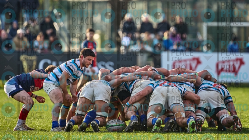 525-R6-IMG_11392