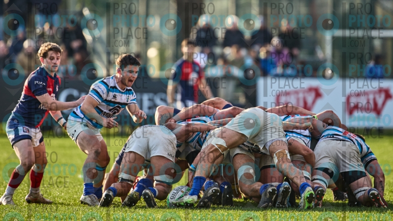 528-R6-IMG_11399