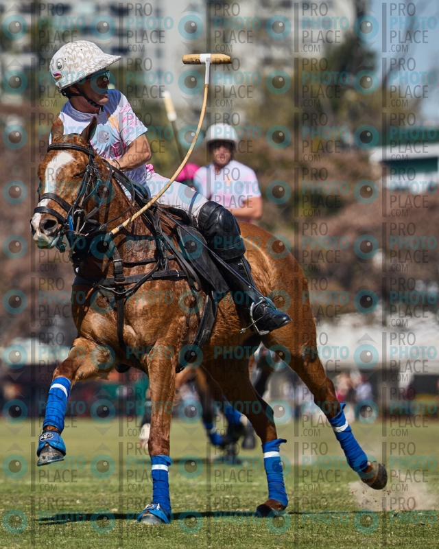 0668-R6-IMG_1747