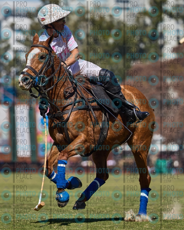 0674-R6-IMG_1753
