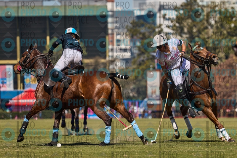 0743-R6-IMG_1822