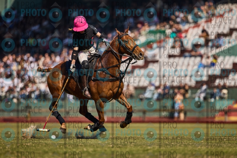 0825-R6-IMG_1906