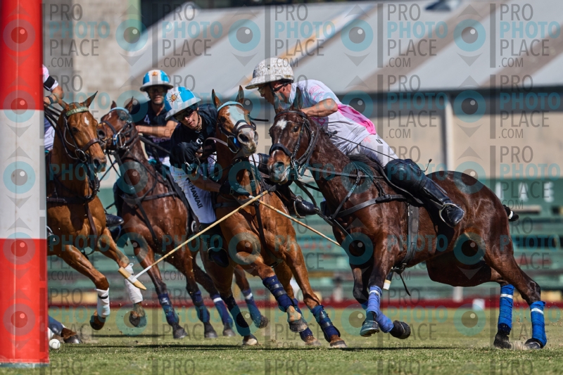 0847-R6-IMG_1928