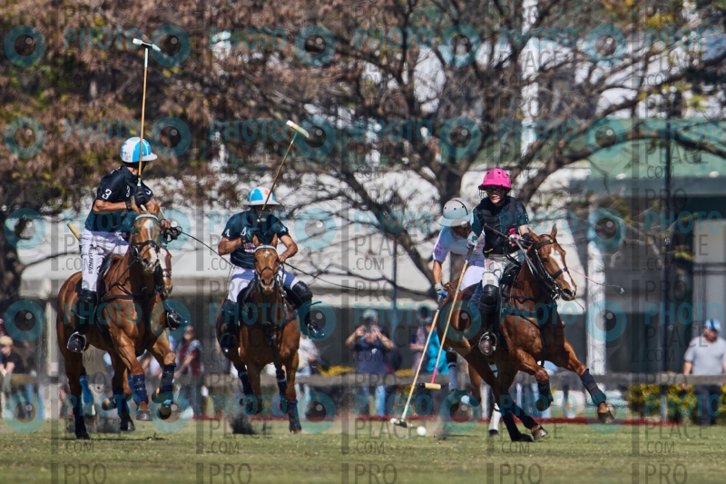 1033-R6-IMG_2126