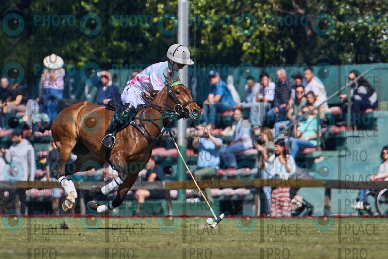 1052-R6-IMG_2146