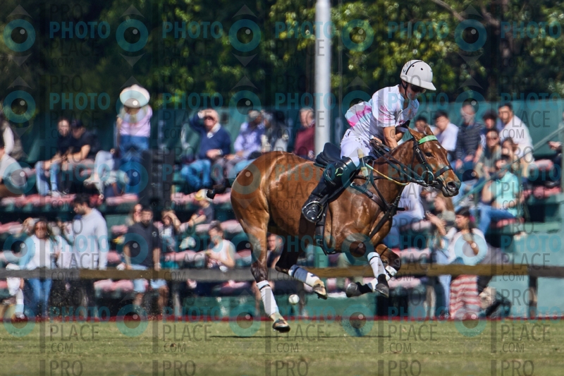 1056-R6-IMG_2150