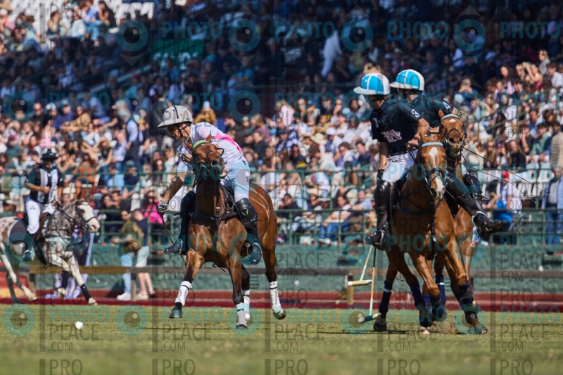 1087-R6-IMG_2193