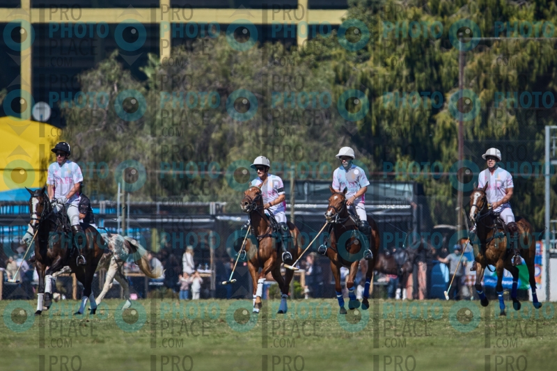 1367-R6-IMG_2502