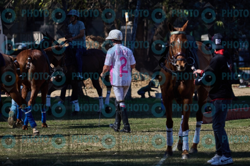 1381-R6-IMG_2516