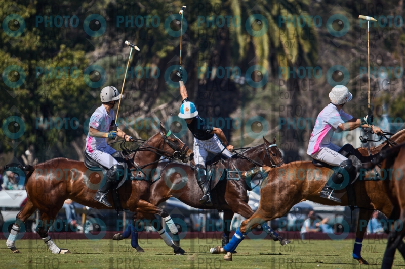 1444-R6-IMG_2584