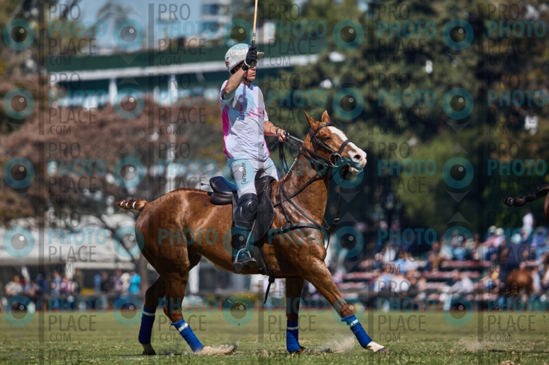 1459-R6-IMG_2599