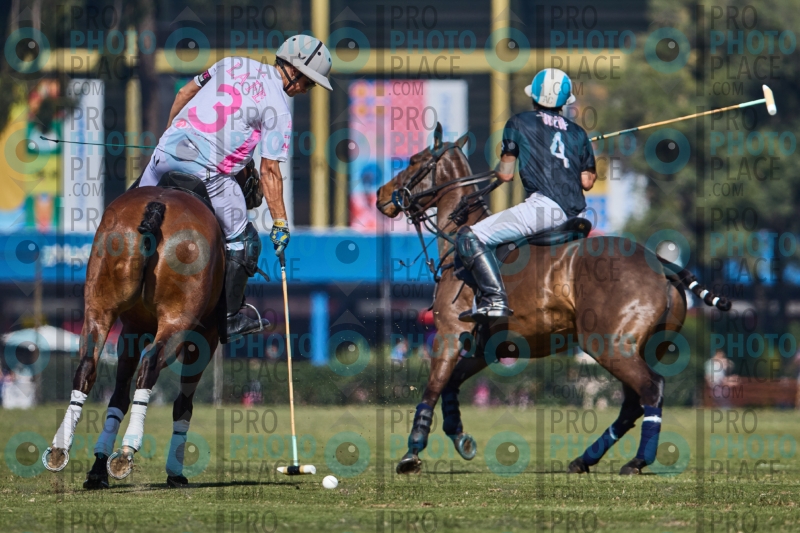 1468-R6-IMG_2608