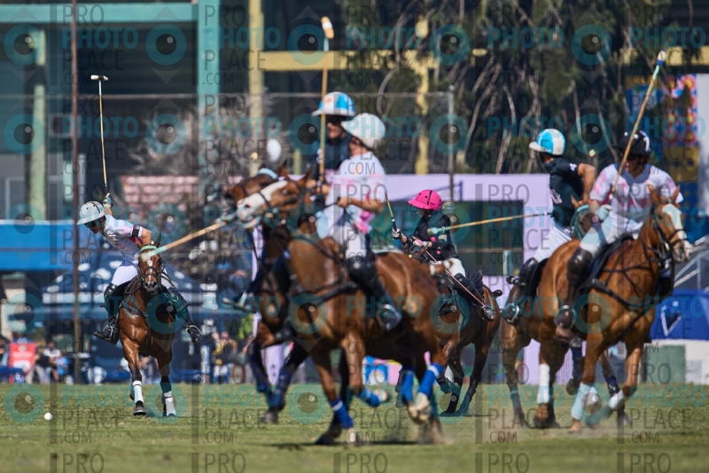 1529-R6-IMG_2669