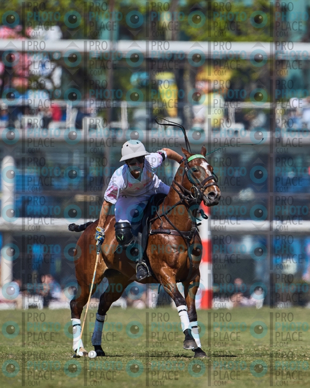 1566-R6-IMG_2706