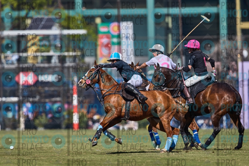 1602-R6-IMG_2742